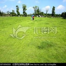 青青青草国产免费,国产影视的清新之作